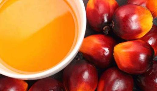 2020年进口成人奶粉排行十大品牌,值得推荐的奶粉是哪些牌子