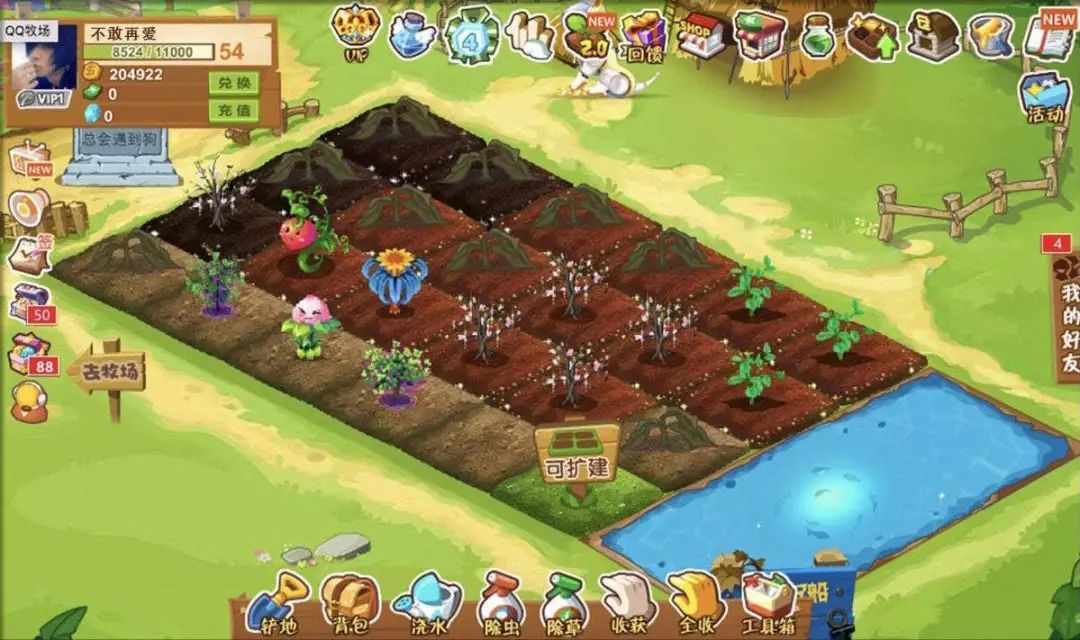 有多少人的青春回忆留在了qq,qq藏着整个青春时期的回忆