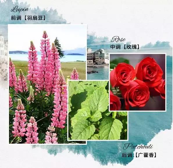 去死皮沐浴露带香味的,代购的大牌香水