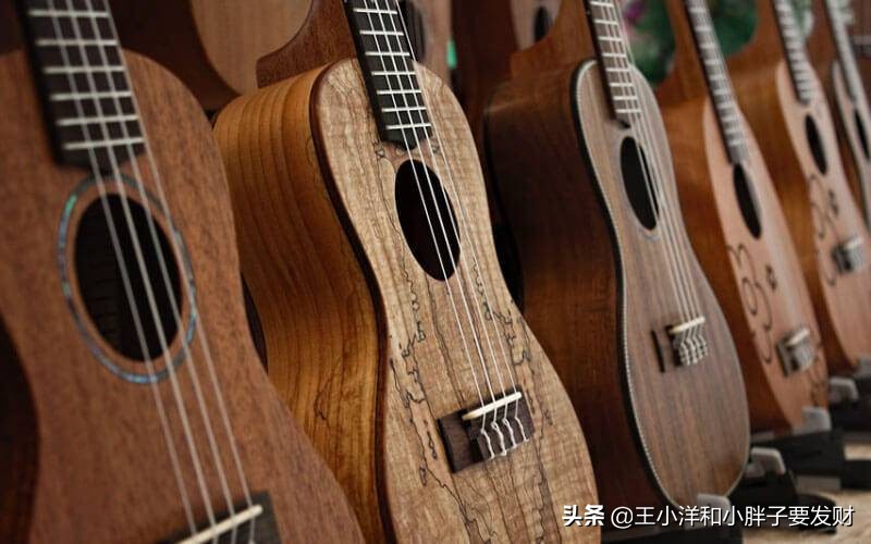 初学者怎么选择尤克里里,初学者怎么选尤克里里