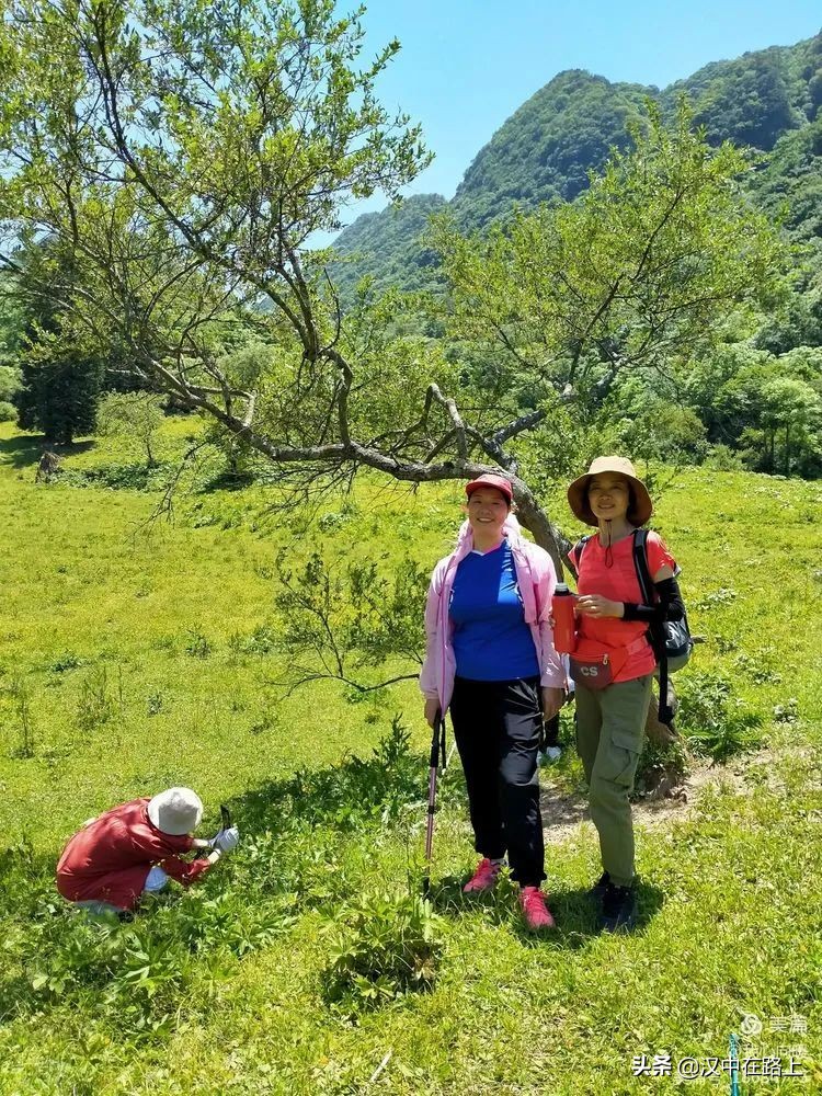 汉中圈子崖天坑,汉中镇巴圈子崖天坑旅游攻略