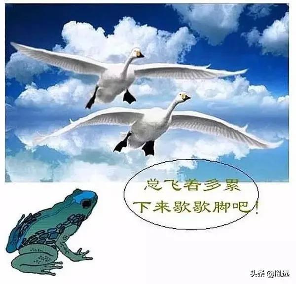 用生活中的物品演奏音乐好处,卧室做音乐设备推荐