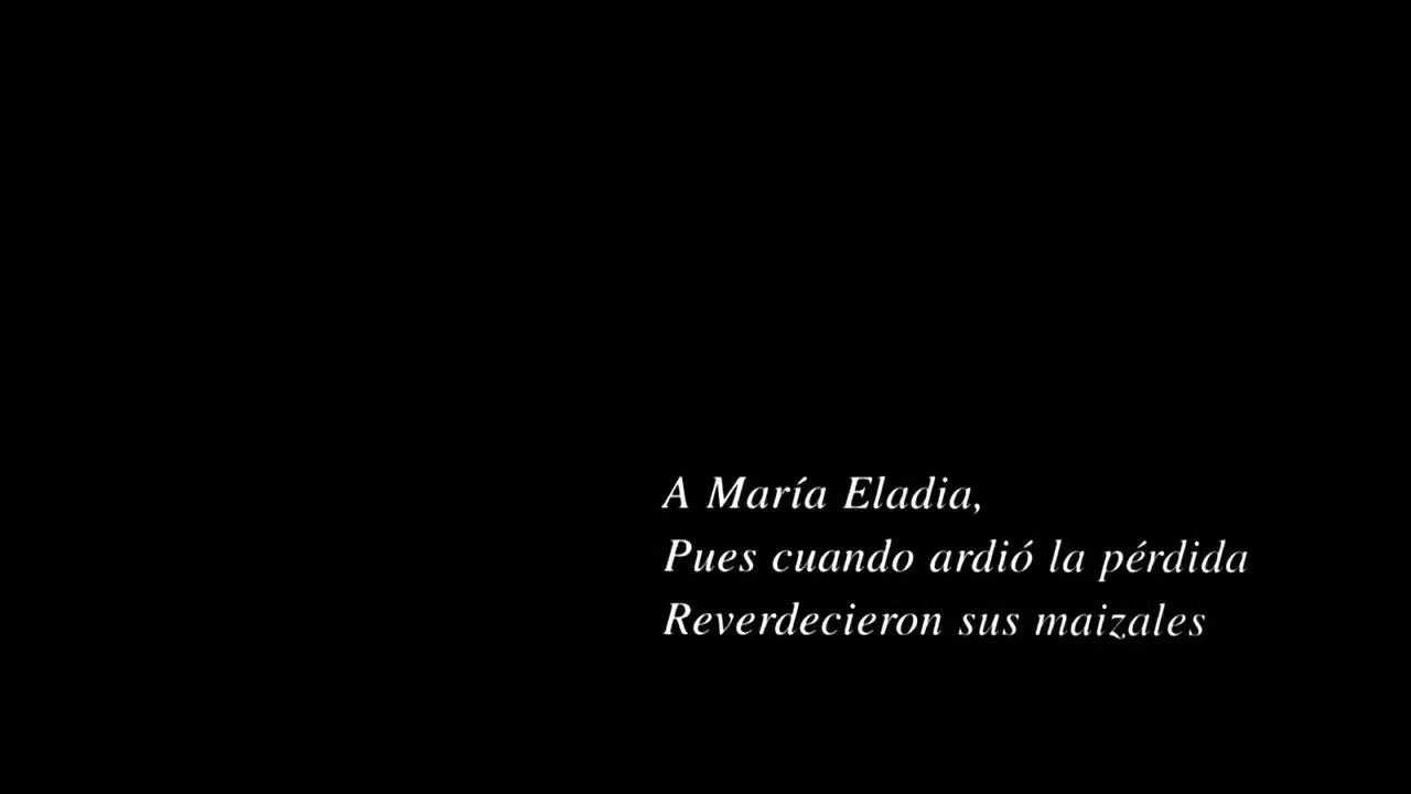 评分为9.9分的救赎电影,救赎电影2014豆瓣评分