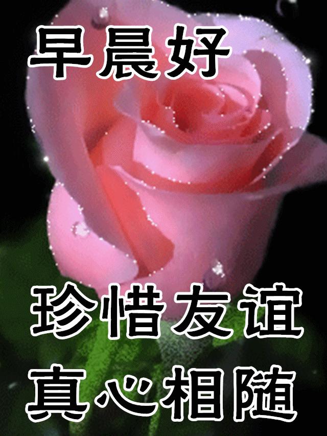 11月21日早安心语正能量句子,2021年早安心语正能量一句话