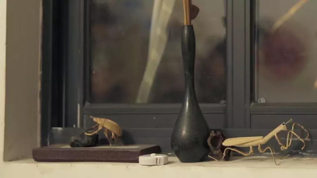 家具不要买太多极简生活,家具都是捡来的