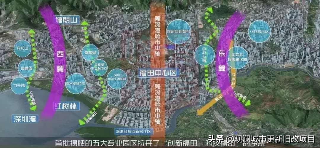 一线海景的大金沙区域的房子是否值得购入？