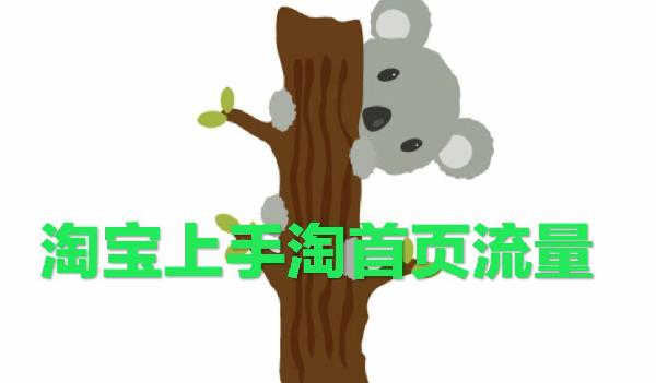手淘拍立淘的流量是什么流量,手淘推荐流量会影响搜索流量吗