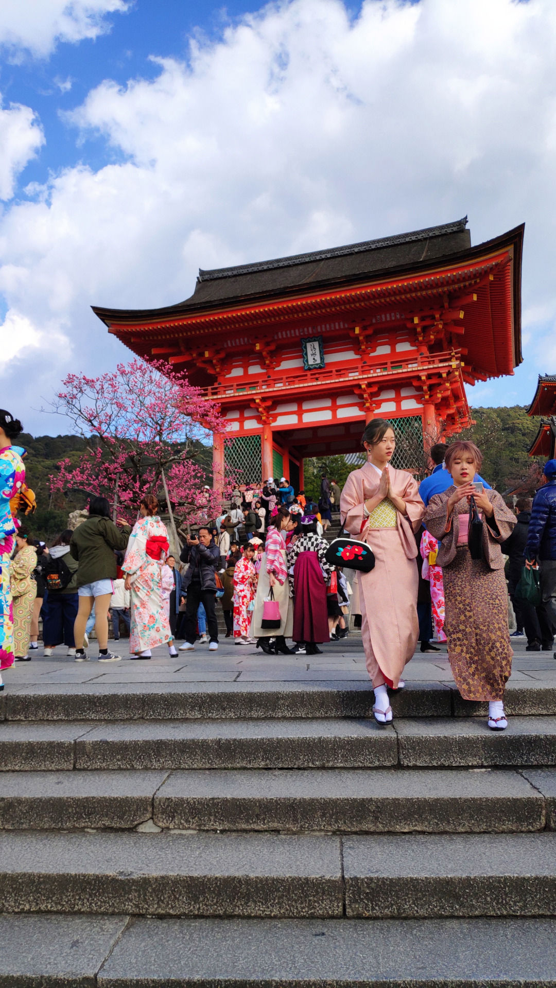 日本本州旅游攻略亲子,日本本州攻略