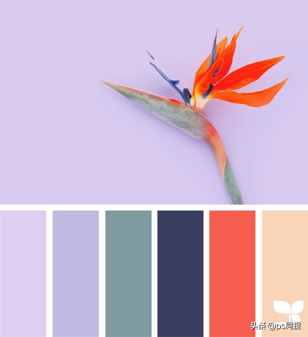 十个超美的高级配色,免费配色方案色卡网址