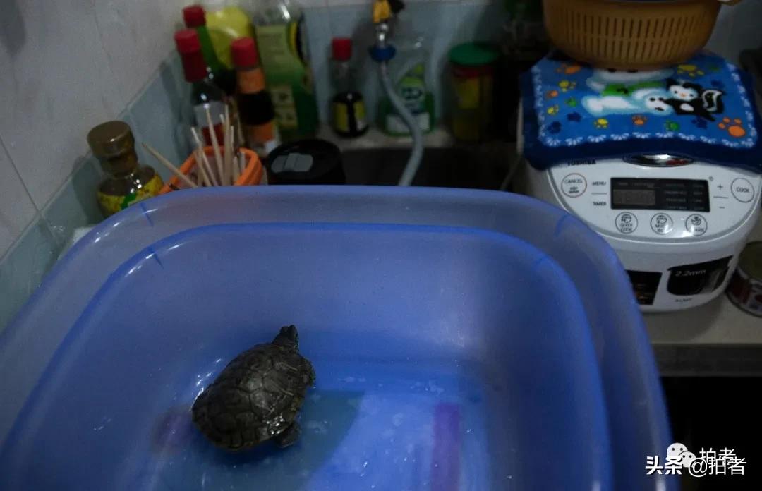 香港劏房妈妈生3个女儿,香港住劏房的妈妈