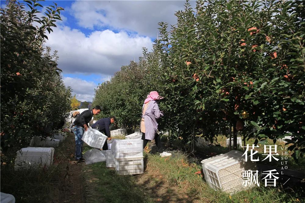 农场用地需要投资多少,农场建设投资
