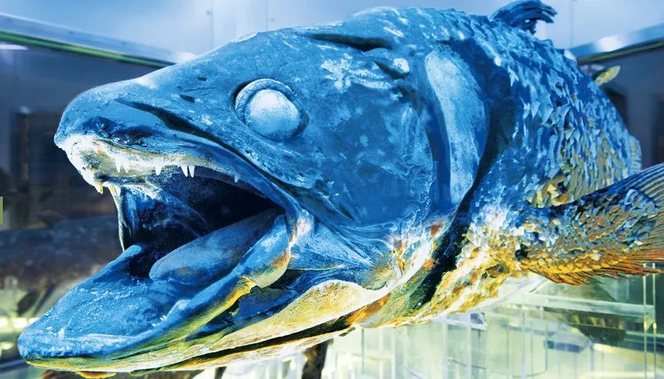 资深玩家推荐旅游,日本海滨度假胜地