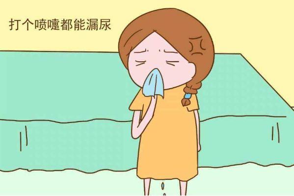 盆底肌小知识,简述盆底肌的解剖结构