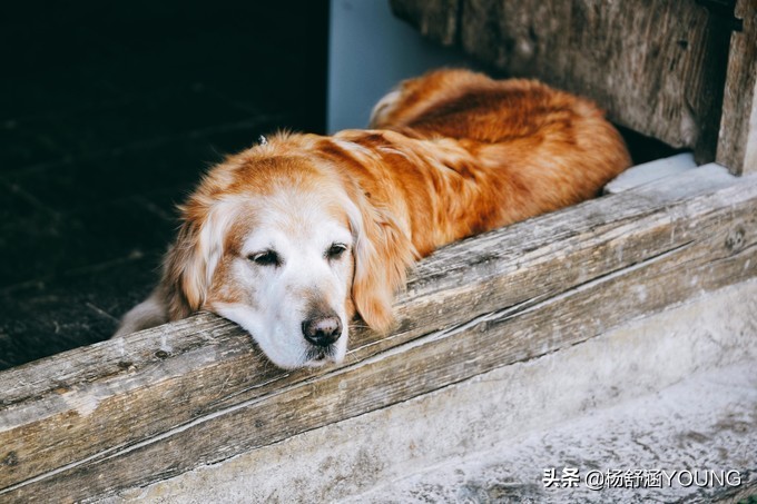 隐匿于城市的世外桃源,隐藏在深山中的世外桃源