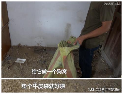 鍗庡啘鍏勫紵鍙嬫儏,鍗庡啘鍏勫紵娌宠竟