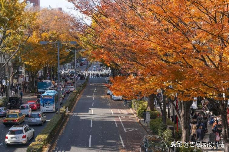 恒通碧水蓝湾房子怎么样,恒通碧水蓝湾