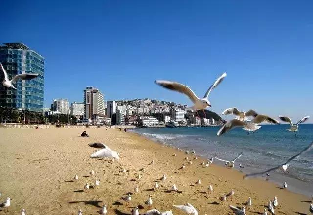 身份证410、411、412开头的,去了郑州就等于去了全世界