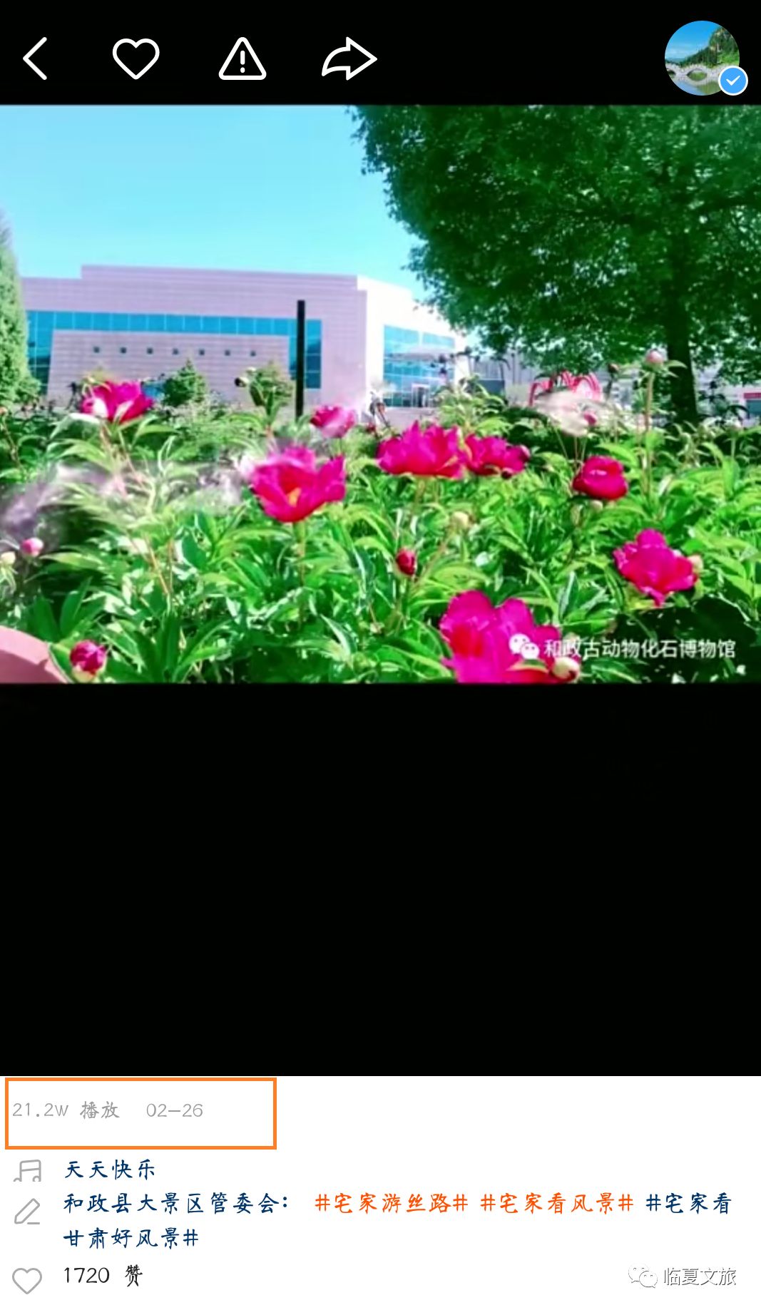 临夏州快手大V宣传视频*放播**量达650万!