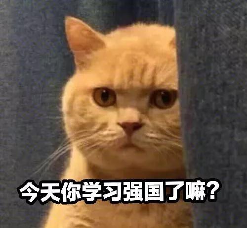 对不起我来晚了学习强国是个宝藏app！