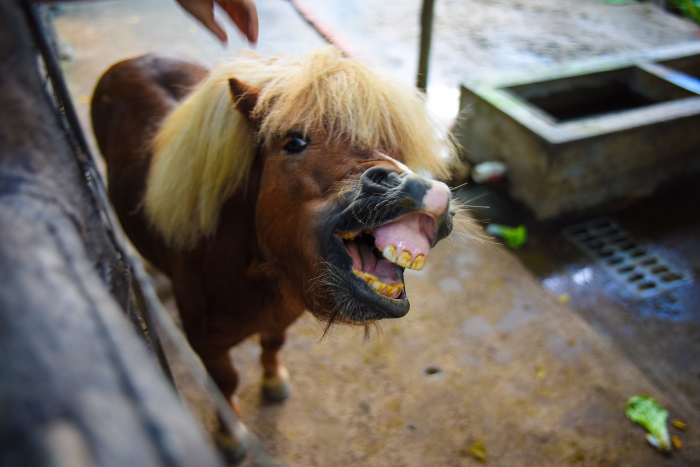 宋城千古情哪个区好,宋城千古情哪排的位置好