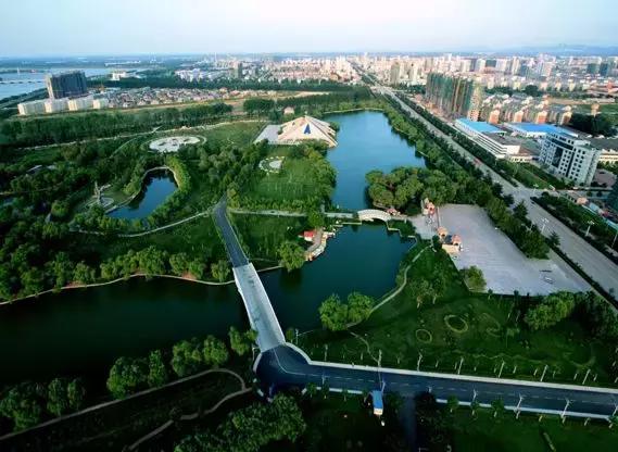 石头缝里长出的榛子树，你见过吗？