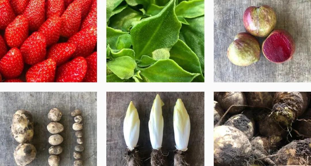 英国疫情防护物资,英国抗疫日记囤货记