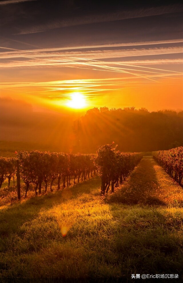 全部的你小说,全部的你歌曲原唱