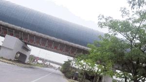 小鸟天堂真实现状,小鸟天堂后续怎样了