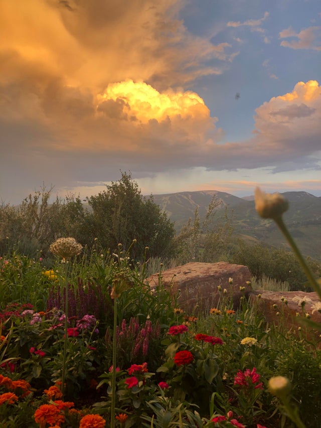 网友随手一拍却很惊艳的图,网友拍摄绝美光影瞬间