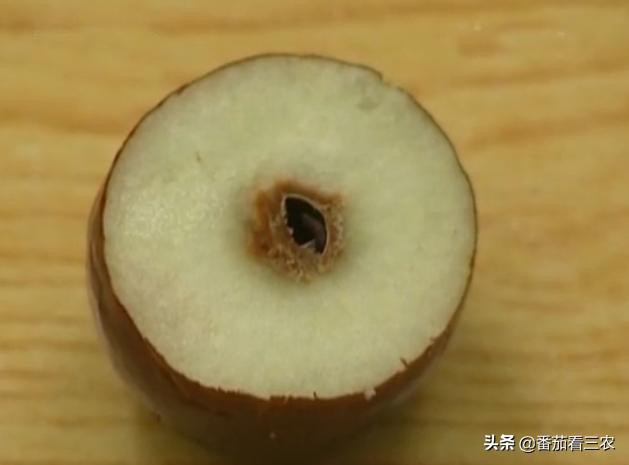 冬枣裂果最佳治疗方案,枣树防裂果方法