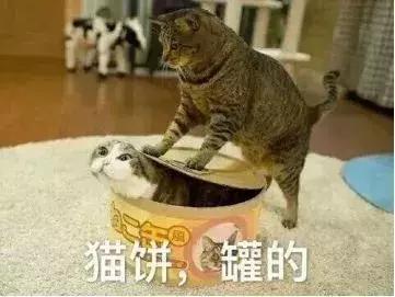 为什么戴隐形眼镜有异物感,戴隐形眼镜有种异物感