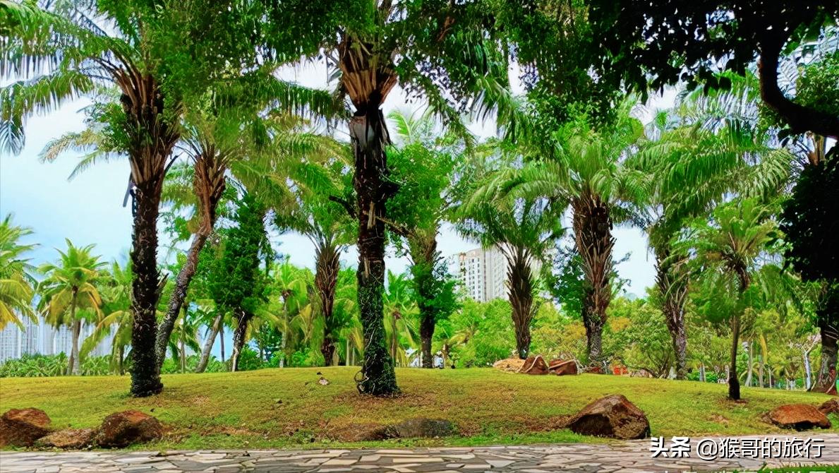 滨海森林公园,被遗忘的滨海新区