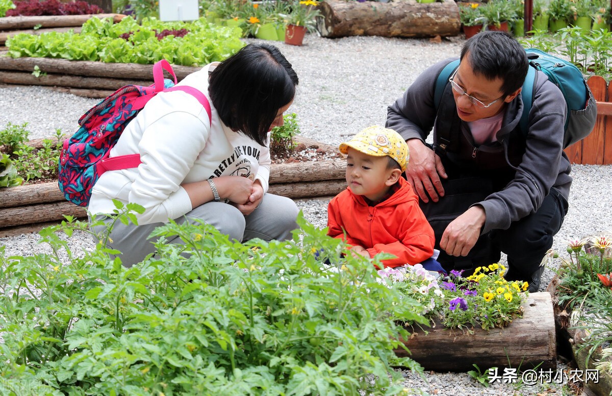 新农村创业适合做的几个生意项目,乡镇致富门路500条免费阅读