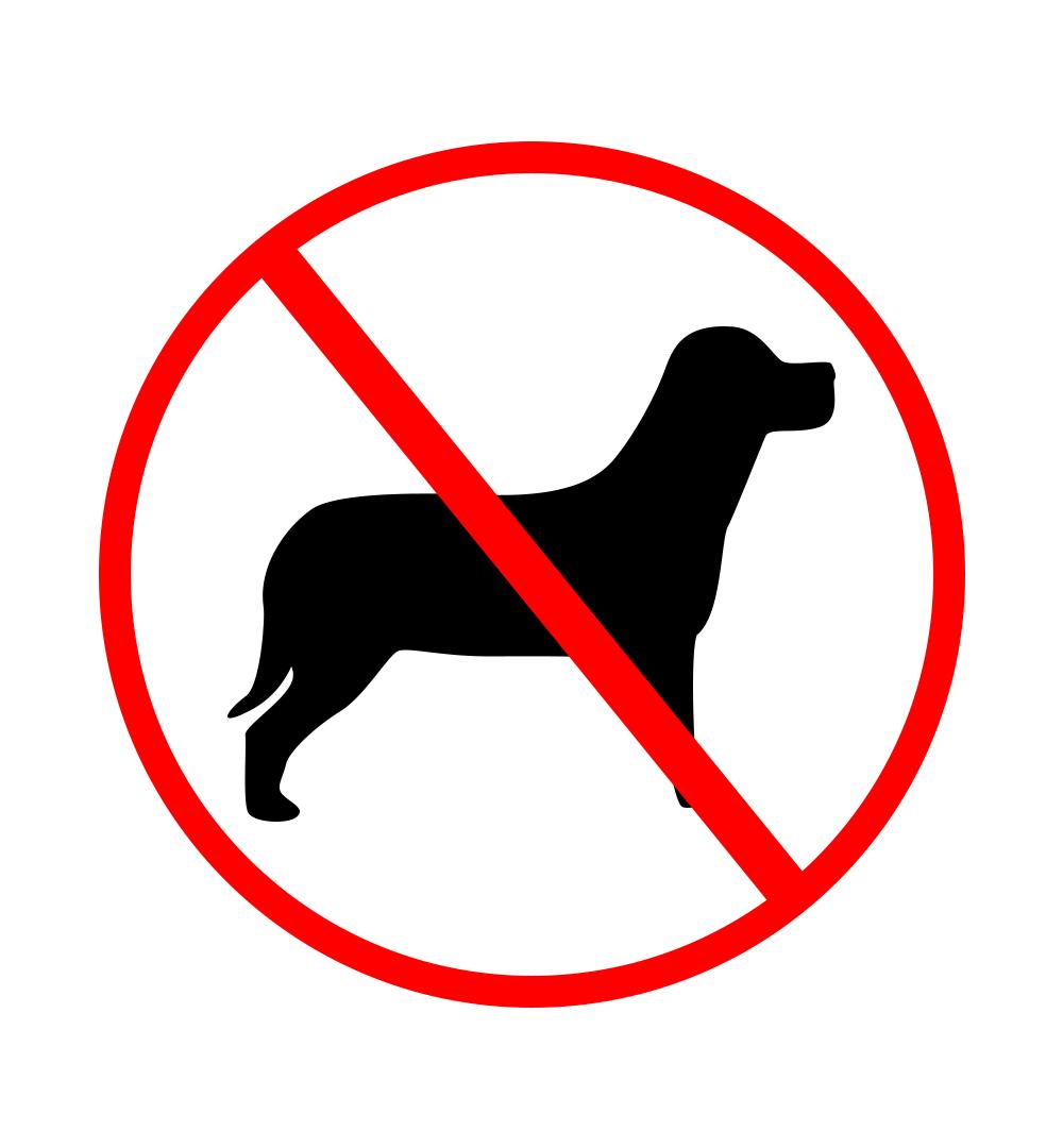 城市里禁止养哪些犬,城市里应不应该养狗