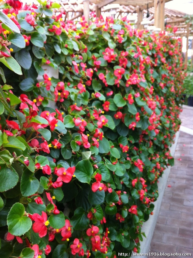 楼观台道教圣地,陕西第一福地楼观台