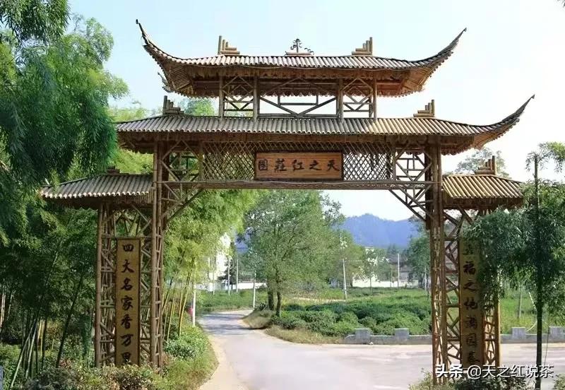 诗情绘美景文章颂茗香I天之红庄园秋行采风