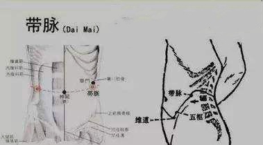 奇经八脉之督脉动态循行干货分享,奇经八脉与十二经脉循行的不同点