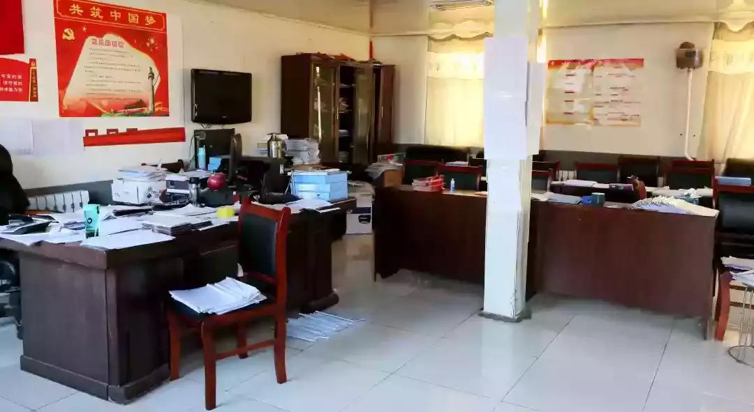 奈曼三花猫,奈曼三金