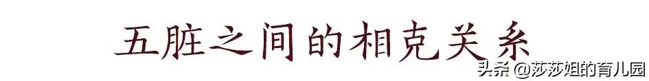 五脏养生的四季规律,五脏与体质养生