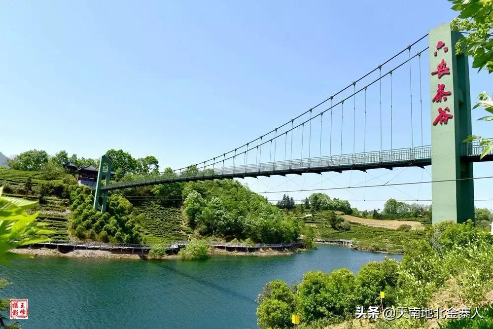 五百里茶谷,五百里茶谷图片