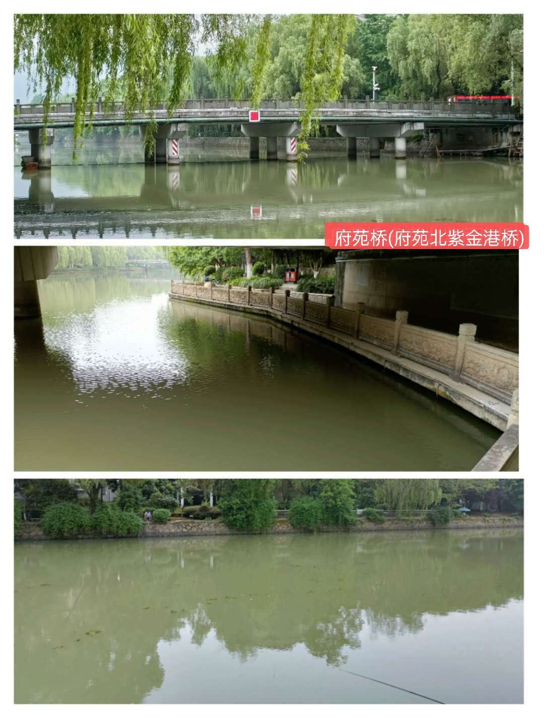 紫金港绿道钓鱼,紫金港河钓鱼