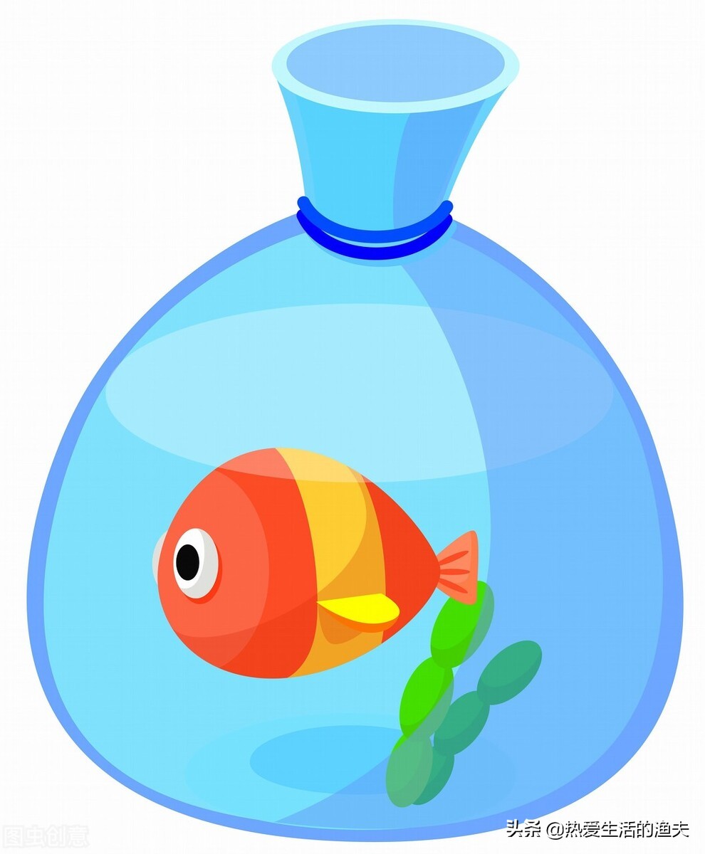 怎么养金鱼才能让金鱼活的更久,怎么养金鱼金鱼才能活的更久