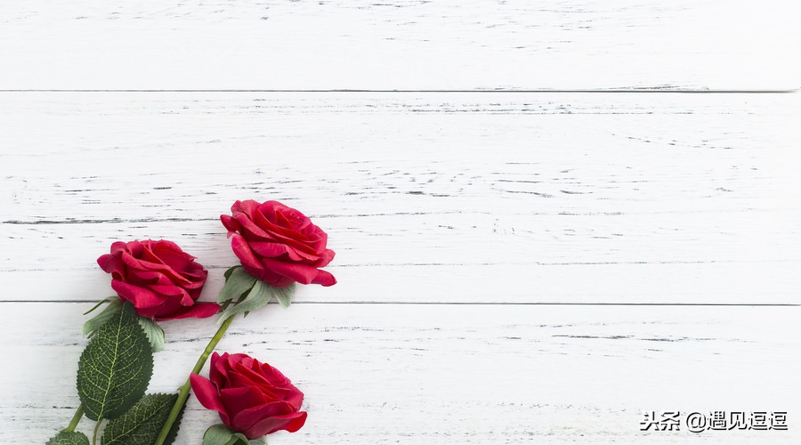 十条恋爱忠告视频,10条爱情忠告