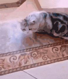 十大公认好用的平价防晒,防晒爆款好物推荐排行榜第一名