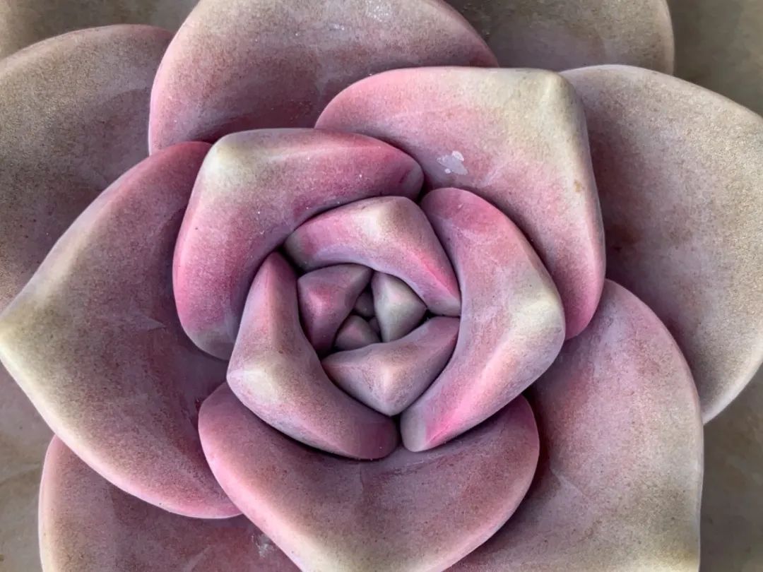 禁足的日子收获颇多,禁足