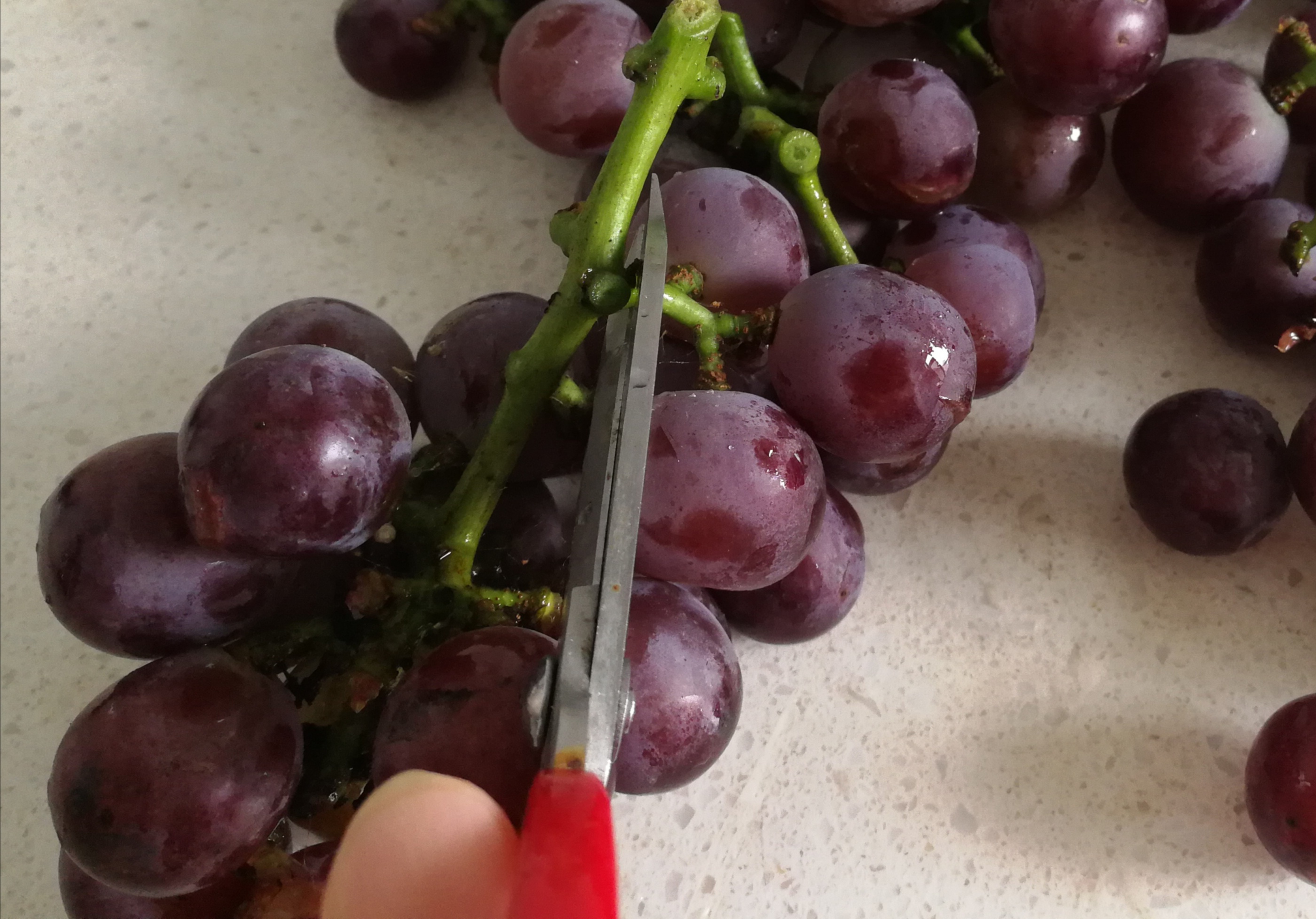 买葡萄要买哪个才最好吃,买葡萄选哪种最好