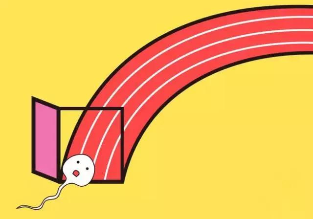 精子的死亡周期,精子死精怎么治疗好