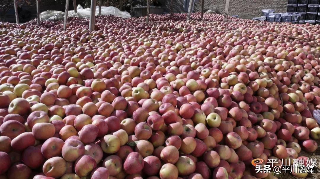 平川苹果手机专卖店,平川苹果店
