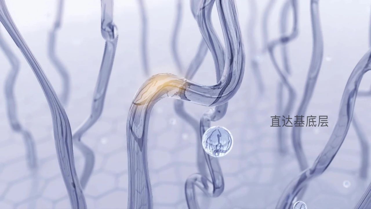 宠物玻尿酸,双分子玻尿酸宠物