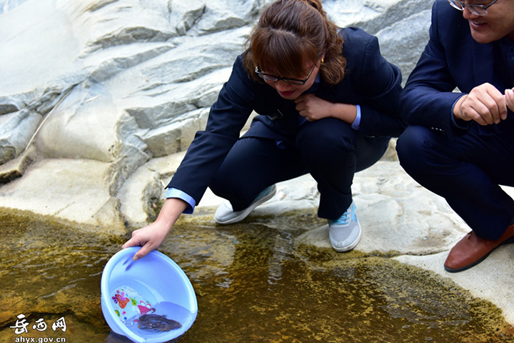 2021澶ч驳澧炴畺鏀炬祦宸ヤ綔鎬荤粨,澶ч驳澧炴畺鏀炬祦娲诲姩